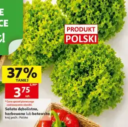 Auchan Sałata dębolistna, karbowana lub batawska oferta
