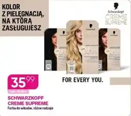 Koliber drogerie Schwarzkopf Creme Supreme Farba do włosów oferta