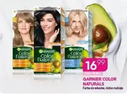 Koliber drogerie Garnier Color Naturals oferta