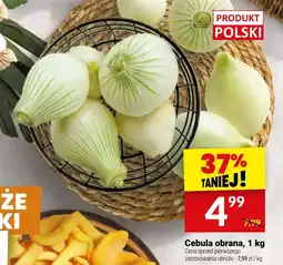 Twój Market Cebula obrana oferta