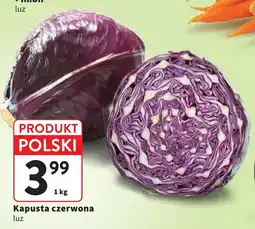 Intermarche Kapusta czerwona oferta