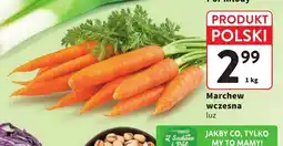 Intermarche Marchew wczesna luz oferta