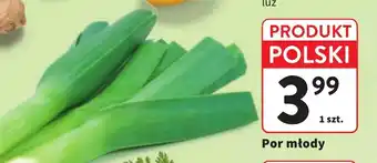 Intermarche Por młody oferta