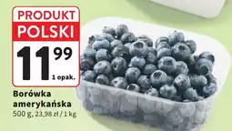 Intermarche Borówka amerykańska oferta