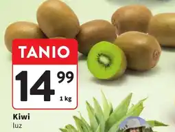Intermarche Kiwi luz oferta