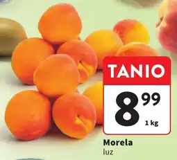 Intermarche Morela luz oferta
