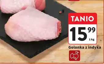 Intermarche Golonka z indyka oferta