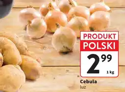 Intermarche Cebula luz oferta