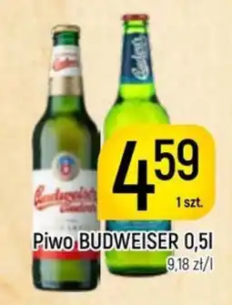 Delikatesy Piotruś Pan Piwo BUDWEISER oferta