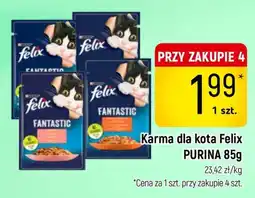 Delikatesy Piotruś Pan Karma dla kota Felix oferta
