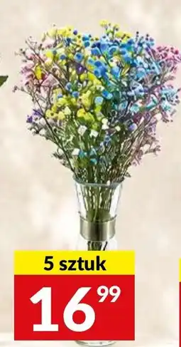 Twój Market Kwiaty w wazonie oferta