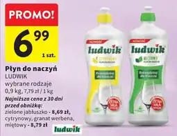 Intermarche Płyn do naczyń LUDWIK oferta
