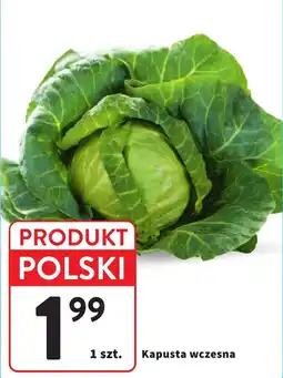 Intermarche Kapusta wcześnie oferta