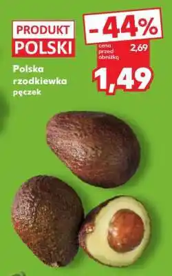 Kaufland Polska rzodkiewka pęczek oferta