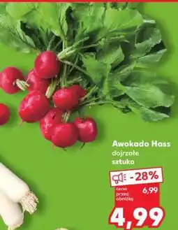 Kaufland Awokado HASS oferta