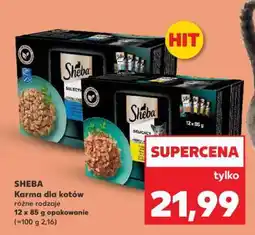 Kaufland SHEBA Karma dla kotów oferta