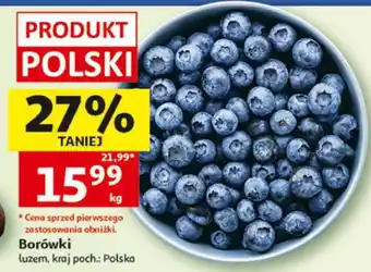 Borówki
