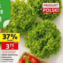 Auchan Sałata dębolistna, karbowana lub batawska oferta