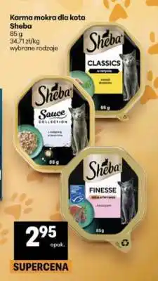 Delikatesy Centrum Sheba oferta