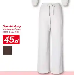 KiK Damska bluza oferta