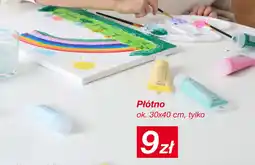 KiK Plótno oferta