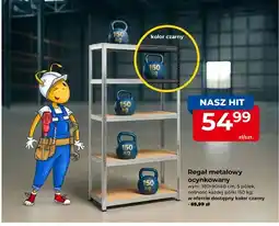 Mrówka Regał metalowy ocynkowany oferta