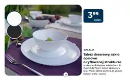 Mrówka Salaterka Galicja śr. 19 cm oferta