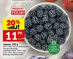 Twój Market Jeżyna polska oferta
