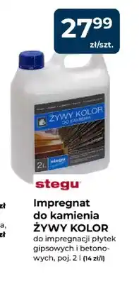 Mrówka Impregnat do kamienia Stegu Żywy Kolor oferta