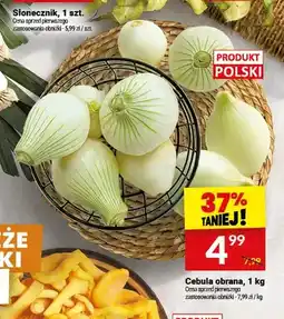 Twój Market Cebula obrana polska oferta