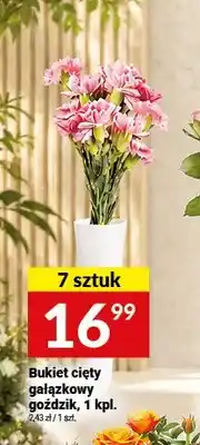 Twój Market Bukiet cięty gałązkowy goździk 7-pak oferta