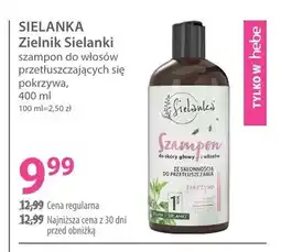 Hebe Szampon do włosów Sielanka Zielnik Sielanki pokrzywa oferta