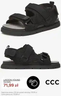 CCC Sandały Lasocki Young oferta
