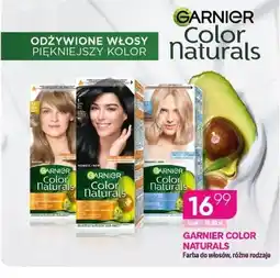 Koliber drogerie Farba do włosów Garnier oferta