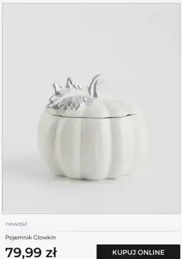 Home&You Pojemnik Glowkin home&you oferta