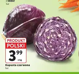 Intermarche Kapusta czerwona polska oferta