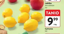 Intermarche Cytryna oferta