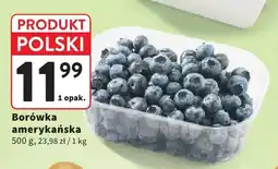 Intermarche Borówka amerykańska polska oferta