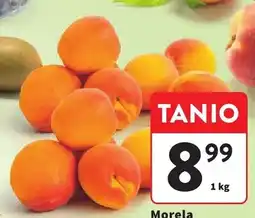 Intermarche Morela oferta