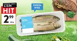 Intermarche Pstrąg tęczowy patroszony Mirko pakowany po ok oferta