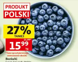 Auchan Borówki Polski oferta