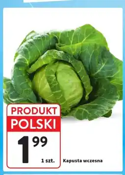 Intermarche Kapusta wczesna oferta