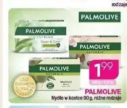 Koliber drogerie Mydło w kostce Palmolive oferta