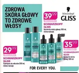 Koliber drogerie Szampon do włosów Schwarzkopf Gliss oferta