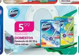 Koliber drogerie Zawieszka do WC Domestos Power 5 Lime oferta