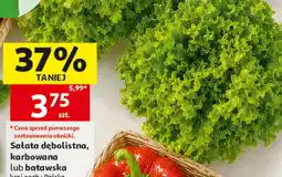 Auchan Sałata oferta