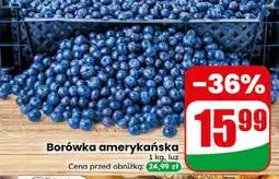 Dino Borówka amerykańska oferta