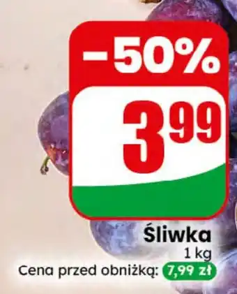 Dino Śliwka oferta