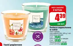 Dino Świeca zapachowa w szkle oferta