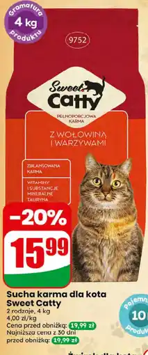 Dino Sucha karma dla kota Sweet Catty oferta